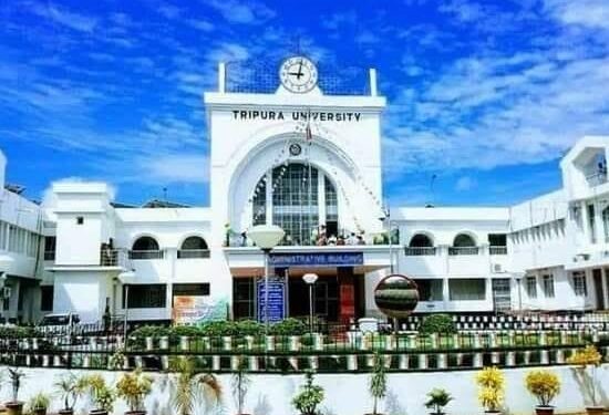 Tripura University BVA 8th Semester Exam Result 2023 Announced